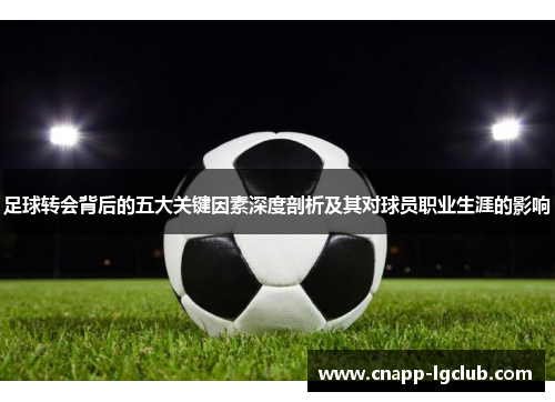 足球转会背后的五大关键因素深度剖析及其对球员职业生涯的影响