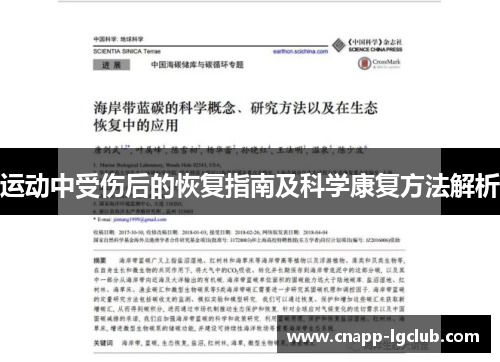 运动中受伤后的恢复指南及科学康复方法解析 运动中受伤后的恢复指南及科学康复方法解析
