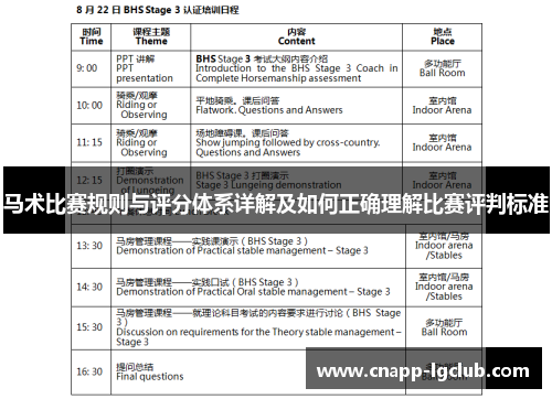 马术比赛规则与评分体系详解及如何正确理解比赛评判标准