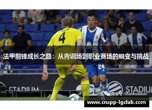 法甲前锋成长之路：从青训场到职业赛场的蜕变与挑战