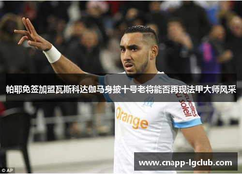 帕耶免签加盟瓦斯科达伽马身披十号老将能否再现法甲大师风采