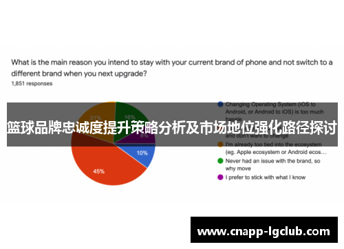 篮球品牌忠诚度提升策略分析及市场地位强化路径探讨 篮球品牌忠诚度提升策略分析及市场地位强化路径探讨